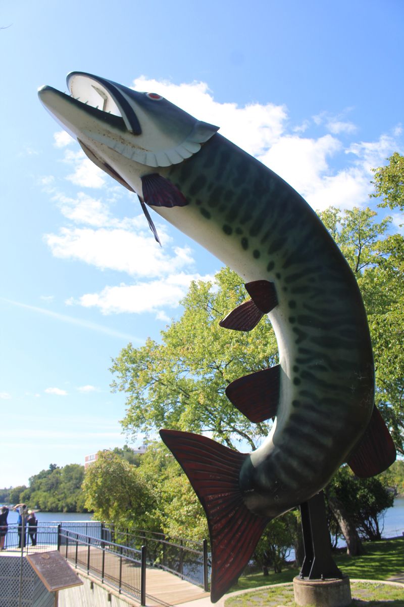 Renovations planned for Harbourfront, starting with Husky the Muskie ...