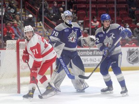 Soo Greyhounds forward Tanner Dickenson (#71) in Ontario Hockey League action against the Sudbury Wolves at the GFL Memorial Gardens. The Dec. 1 game against the Wolves is postponed due to a COVID-19 outbreak within the Wolves hockey club. The game will be rescheduled for a later date.