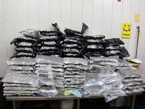 More than 115 pounds of cannabis, cash and cocaine were seized from a vehicle being driven by a Kingston driver on Sunday at about 10:30 p.m. on Highway 401 in South Glengarry Township. Ontario Provincial Police