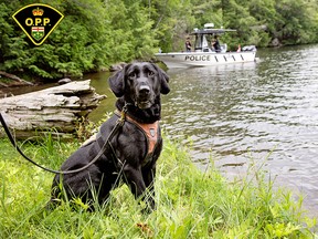 The annual Canine Unit Calendar produced by the OPP is now available. Proceeds go to support the OPP Youth Foundation and the Friends of The OPP Museum.