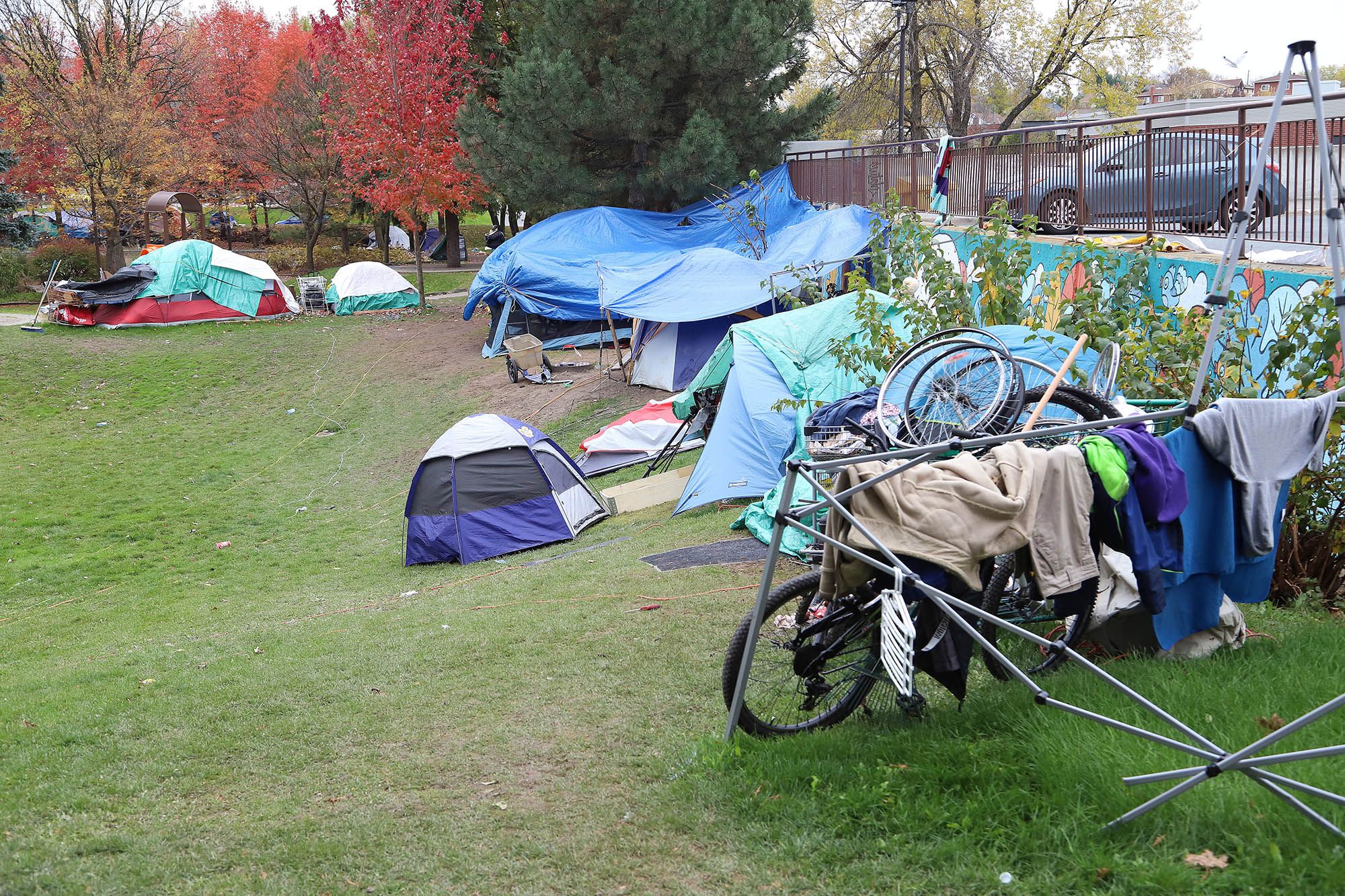 image of 나파니, 캠핑장 문제 해결에 어려움 겪어