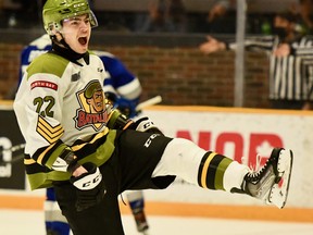 Matvey Petrov of the North Bay Battalion celebrates his first-period goal Sunday against the Sudbury Wolves at Memorial Gardens. The Troops played their first home game after a run of six straight Ontario Hockey League road dates.
Sean Ryan Photo