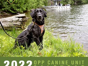Proceeds from the $15 OPP Canine Unit calendar will benfit a youth charity and the non-profit OPP Museum. [OPP]