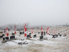 Rotaract members had decorated Mount Pleasant Cemetery in honour of the veterans buried there. 
Each veteran had a flag, white cross with poppy at their grave.