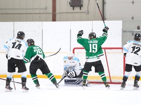 The Dogs celebrate a goal against the Freeze. (Portageterriers.com)