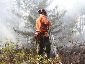 Fire rangers were busy this summer in the northwest, combatting Ontario's largest ever wildland fire — Kenora 51.