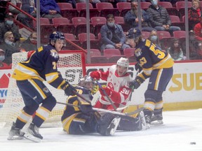 Soo Greyhounds forward  Jordan D'Intino gets smashed into the net during OHL action at the GFL Memorial Gardens on Sunday afternoon. D'Intino scored one goal as the Hounds picked up a 5-4 win over the Erie Otters.