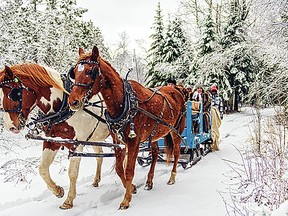 There will be horse-drawn sleigh rides through the Agricultural Museum. (Metro Creative Services)