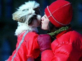 A Shih-Tzu and its owner enjoy a recent Winterlude celebration in Ottawa. Postmedia