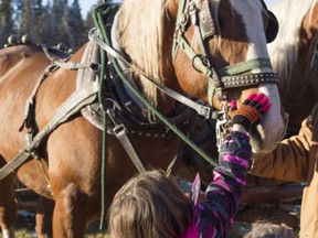 Across seven locations in rural Strathcona County, Christmas in the Country will take place on Saturday, Dec. 4 from 10:30 a.m. to 4 p.m. Admission is free. Photo Supplied