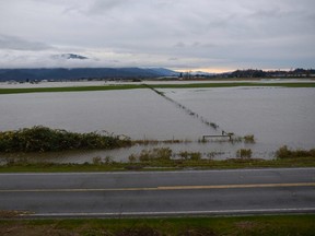 Flooding is seen in the Sumas area of Abbotsford , British Columbia south of a closed Hwy 1, on November 18, 2021. - Rail and highway links to Vancouver were briefly reopened by emergency crews clearing debris, allowing travellers stranded by mudslides from record rainfall to pass in western Canada. (Photo by PHILIP MCLACHLAN / AFP) (Photo by PHILIP MCLACHLAN/AFP via Getty Images)