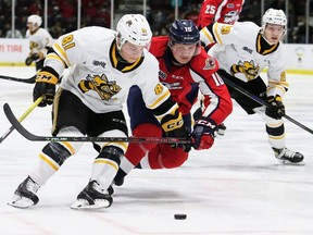Sarnia Sting's Max Namestnikov (81) and Windsor Spitfires' Daniil Sobolev (10) chase the puck in the first period at Progressive Auto Sales Arena in Sarnia, Ont., on Friday, Nov. 12, 2021. Mark Malone/Chatham Daily News/Postmedia Network