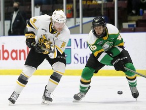 Sarnia Sting's Brayden Guy (14) and London Knights' Gerard Keane (45) battle for the puck in the first period at Progressive Auto Sales Arena in Sarnia, Ont., on Tuesday, Nov. 16, 2021. Mark Malone/Chatham Daily News/Postmedia Network