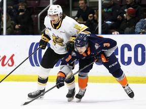 Sarnia Sting's Theo Hill (16) battles Flint Firebirds' Luca D'Amato (3) in the first period at Progressive Auto Sales Arena in Sarnia, Ont., on Friday, Nov. 26, 2021. Mark Malone/Chatham Daily News/Postmedia Network