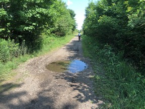 A portion of the Grey County Rail Trail that is slated to be improved in 2022. SUPPLIED