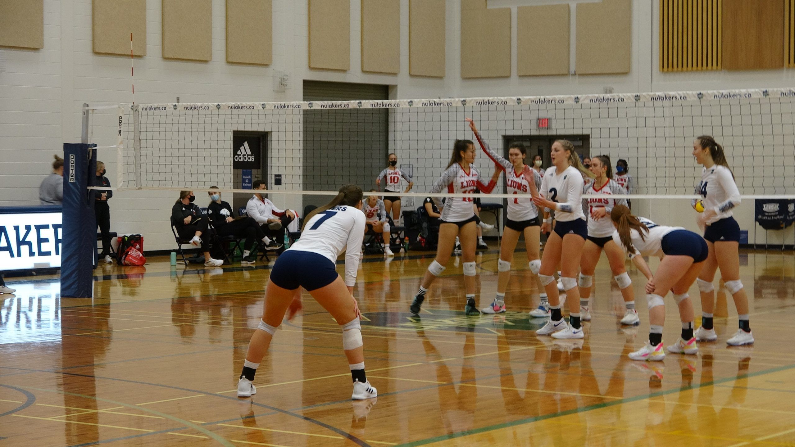 Nipissing Women’s volleyball on the cusp of excellence | North Bay Nugget
