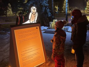 The sparkle of magical Christmas lights captivated viewers at In Search of Christmas Spirit display after it opened to the public last week in Banff. The multi-sensory experience has a guided tour story with a lights and sound display illuminated and told by wildlife.The experience runs from 5 to 10:30 pm Wednesday through Saturday from November 24 to December 18, and 5 to 10:30 pm daily from December 22, 2021, to January 1, 2022.  Photo Marie Conboy/ Postmedia. Photo Marie Conboy/ Postmedia.