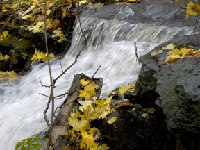 Ferguson Falls, shown here on a rainy Thursday afternoon, Nov. 18, is one of Brockville's hidden gems, but it could one day be a feature of the Brock Trail. (RONALD ZAJAC/The Recorder and Times)