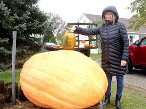 Shari Duquette shows a regular pumpkin beside this giant pumpkin grown by Scott Weber of Weber's Pumpkins in Chatham, estimated to weigh as much as 1,500- pounds. The massive gourd, that Duquette has named 'Bertha, is on display on Given Road. Ellwood Shreve/Postmedia