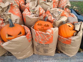 Instead of tossing your post-Halloween pumpkins in the trash, they can be donated as food via the Great Pumpkin Rescue. Postmedia Network file photo