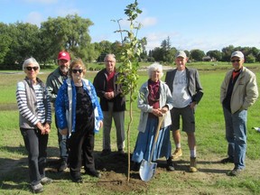 JHETF Board members planting at the Gorrie Conservation area recently on their 25th anniversarySusan Chan, Klaus Seeger, Alison Lobb, Nigel Bellchamber (MCFoundation member), Wendy Hoernig, Geoff King, Phil Beard. (Absent: Brian Jeffray). Submitted