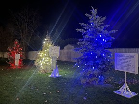 Angel tree with white lights in memory of children/family members who are no longer with us; MADD tree with red lights for those impacted by impaired driving; and the Alzheimer's "Forget Me Not" tree with blue lights for those people affected by Alzheimer's disease. The three trees stay lit throughout the night as a silent vigil of remembrance. Kathleen Smith