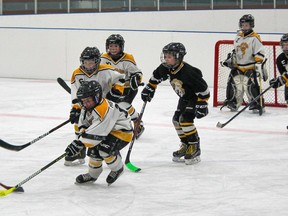 The two Hanna Colts U9 teams took to the ice on Nov. 20 to test out their skills on one another. Misty Hart/Postmedia