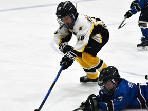 Aiden Crawford (16) of the Mitchell U11 rep hockey team pounces on the puck after Tolson Taylor (57) of BCH loses his balance in the neutral zone during exhibition action Oct. 29 in Mitchell. The Meteors won, 3-1, with Crawford scoring one of the goals. ANDY BADER/MITCHELL ADVOCATE