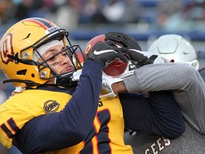 Queen's Gaels receiver Josh MacLeod hauls in a touchdown pass against the Ottawa Gee-Gees in Ontario University Athletics East final football action at Richardson Stadium on Saturday.