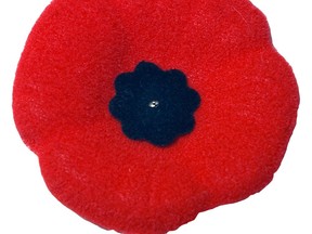 A poppy for Remembrance Day.