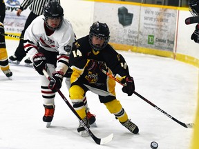 Sean Gibbings (14) of the Mitchell U13 AE Meteors uses his speed to get past this Listowel opponent during action from the 65th Mitchell Pee Wee hockey tournament Nov. 13. The Meteors won, 4-0. ANDY BADER/MITCHELL ADVOCATE