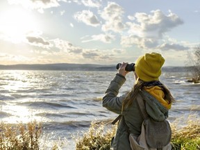 1202 pm birdwatch.PM.jpg