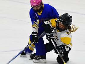 Despite losing her balance after colliding with this Forest opponent, Madison Elliott (17) of the Mitchell U10 ringette team maintains possession of the ring during action from the Mitchell ringette tournament Nov. 21. The Stingers lost this game, 11-6, but rebounded later in the day to rally from a 5-2 deficit and claim a thrilling 6-5 victory in the division final game. ANDY BADER/MITCHELL ADVOCATE