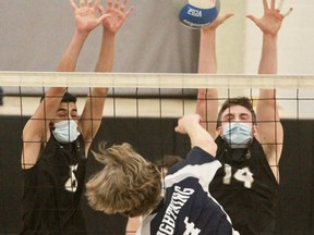 SDSS Golden Bears Eshaan Gaind (8) and Dirk Sybersma (8) get up to block Listowel’s Ben Hamilton during that senior boys’ volleyball semifinal Thursday in Stratford. SDSS won in three sets.