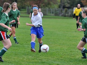 A master plan is proposed for Sarnia's Germain Park, which boasts the largest concentration of soccer fields and baseball diamonds in Sarnia, the city's community services general manager says.