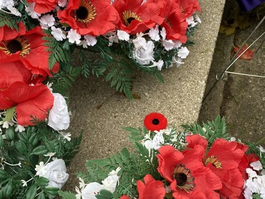 A lone poppy sits among the wreaths at the Waterford cenotaph. SIMCOE REFORMER PHOTO