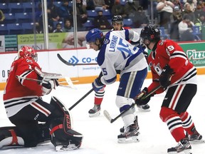 Ethan Larmand, middle, of the Sudbury Wolves, looks for a rebound during OHL action against the Niagara IceDogs at the Sudbury Community Arena in Sudbury, Ont. on Friday November 5, 2021. John Lappa/Sudbury Star/Postmedia Network