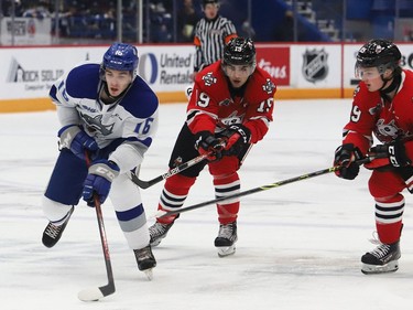 Nick DeGrazia, left, of the Sudbury Wolves, skates past Pano Fimis, middle, and Alec Leonard, of the Niagara IceDogs, during OHL action at the Sudbury Community Arena in Sudbury, Ont. on Friday November 5, 2021. John Lappa/Sudbury Star/Postmedia Network