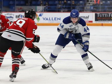 Michael Derbidge, right, of the Sudbury Wolves, attempts to skate around Alec Leonard, of the Niagara IceDogs, during OHL action at the Sudbury Community Arena in Sudbury, Ont. on Friday November 5, 2021. John Lappa/Sudbury Star/Postmedia Network