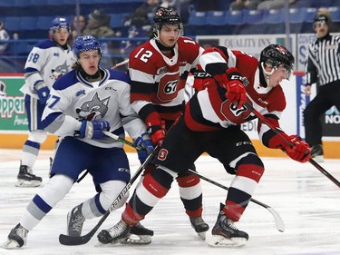 Quentin Musty, left, of the Sudbury Wolves, battles for the puck during OHL action against the Ottawa 67's at the Sudbury Community Arena in Sudbury, Ont. on Friday November 19, 2021. John Lappa/Sudbury Star/Postmedia Network