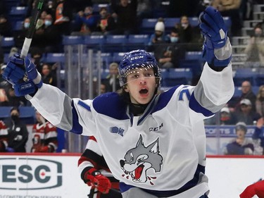 Quentin Musty, of the Sudbury Wolves, celebrates scoring a goal during OHL action against the Ottawa 67's at the Sudbury Community Arena in Sudbury, Ont. on Friday November 19, 2021. John Lappa/Sudbury Star/Postmedia Network