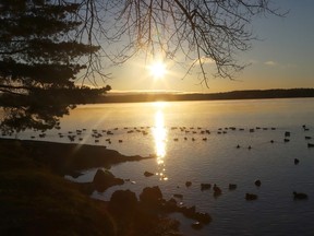 The sunrise reflects off Ramsey Lake as ducks swim near a shoreline on Nov. 23, 2021.