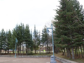 The Tree of Hope, which is being lit on Nov. 14, is located at the Mattagami River boat launch at the far end of the parking lot.

Dariya Baiguzhiyeva/Local Journalism Initiative