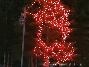 Local dignitaries, Elders of the Indigenous community and officers with the Timmins Police Service were on hand for the inaugural lighting of the "Tree of Hope" hosted at the Mattagami River pavilion. The tree has more than 2,000 red lights to represent the Indigenous women and girls who have been victims of violence.

Supplied