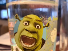 McDonald’s voluntarily recalled Shrek glasses in 2010 due to cadmium in the glazes on the outside of the glasses, making Nadine Robinson’s ‘dear Shrek a vibrantly neon green.’  NADINE ROBINSON