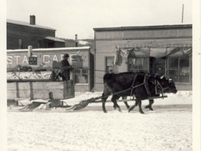 •	83.1342.002 – A familiar sight in early Peace River winter – a team of oxen hauling a loaded sleigh along snow-covered Main Street. The Star Café, one of the town’s earliest Chinese restaurants, in the background. It is not known what year, or who the driver is. However, it is known Charlie Druce used to drive such a team and sleigh.