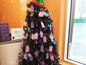 Anytime Fitness in Fort Saskatchewan has set up a Christmas tree fundraiser in support of the local non-profit BGC Fort Saskatchewan. Photo Supplied.