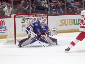 Soo Greyhounds forward Rory Kerins goes in alone against Kitchener Rangers goalie Pavel Cajan in OHL action at the downtown rink in November. Kerins scored the overtime winner on Friday night as Hounds beat the Rangers 4-3 in overtime. The Hounds are back in action on Dec. 29 against the Sudbury Wolves.