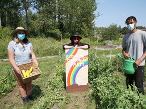 Gracie Wadge, left, Lilith Wall and Chibike Ijomah show off a section of garden at the Flour Mill Community Farm site located next to the Ryan Heights playground, behind the Ryan Heights housing complex in Sudbury, Ont. on Wednesday August 18, 2021. John Lappa/Sudbury Star/Postmedia Network