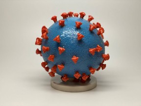 FILE PHOTO: 3-D print of a SARS-CoV-2 particle, also known as novel coronavirus